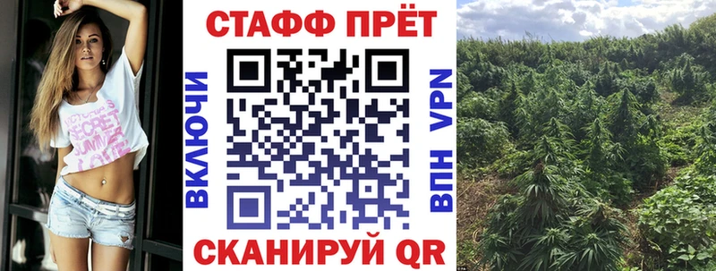 Как найти закладки Грайворон Cocaine  МАРИХУАНА  МЕФ  Гашиш 