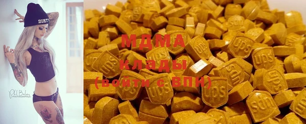 индика Алексеевка